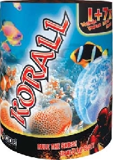 Korall